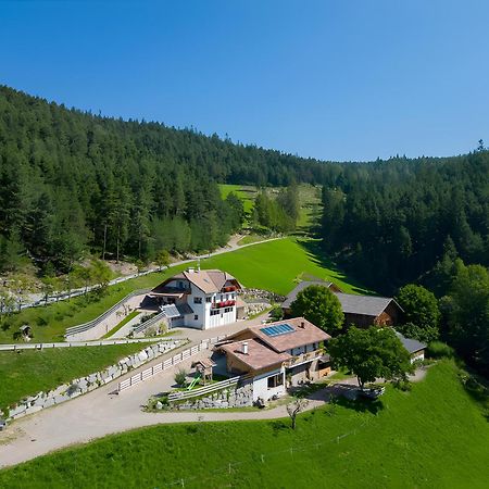 Вилла Tholerhof Сан-Дженезио-Атезино Экстерьер фото